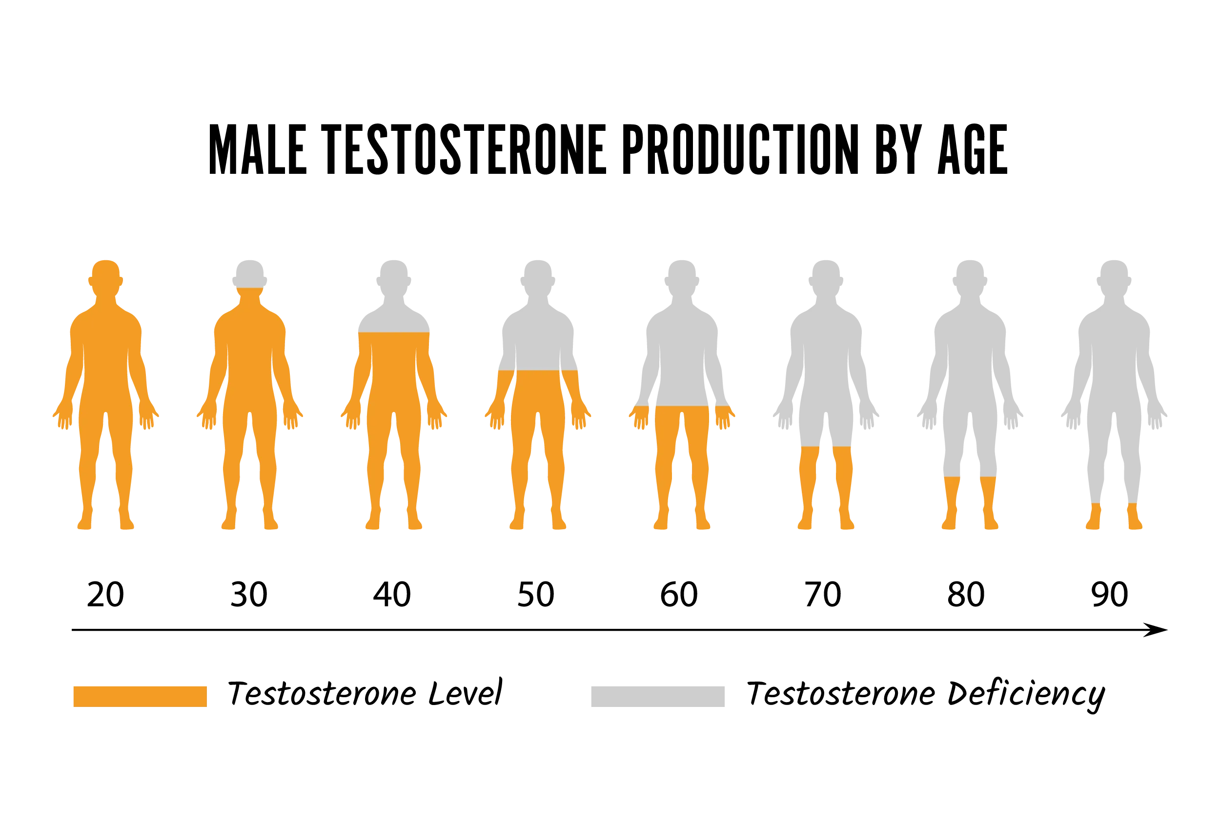 Chart showing the decline in testosterone levels with age